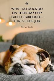 Dog quotes love and loyalty and dog best friend quotes 40 Best Dog Quotes Cute Sweet Quotes About Dogs