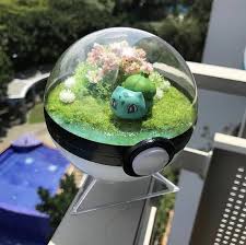 Grasslands Pokemon Terrarium Etsy Pokemon Terrarium Pokemon Craft Pokemon Diy
