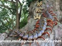 We have reviews of the best places to see in negeri sembilan. Top Negeri Sembilan Attractions What To See In Negeri Sembilan State