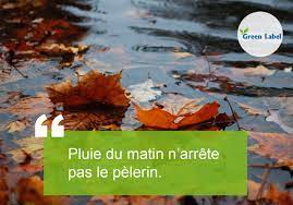 Brouillard du matin n'arrête pas le pélerin autor(en): Pluie Du Matin N Arrete Pas Green Label Cote D Ivoire Facebook