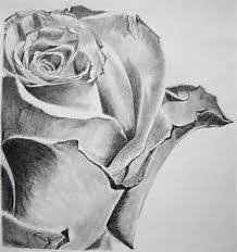 Risultati Immagini Per Volti In Bianco E Nero Disegnati Fiori Disegnati A Matita Disegni A Matita Arte Del Fumo