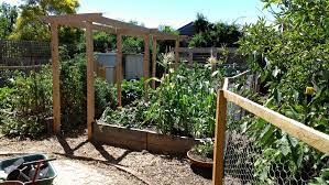 Pergola Power Very Edible Gardens Garden Design Pergola Garden Arch