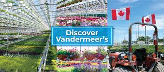 It is an annex of woodbridge, virginia. Discover Vandermeer S Vandermeer Nursery