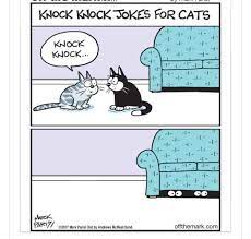 Pin By Barb Begam On Pet Sayings And Cartoons Cat Jokes Crazy Cats Funny Cats