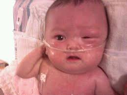 DONALD LIU Obituary (2012)