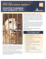 Family pet center has everything you need for your fine feathered friend. Disaster Planning For Animals Domestic And Rural Sarasota County Fl