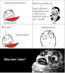 Watermelon Seeds Memedroid