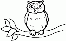 Drawn baby animal baby owl pencil and in color drawn baby animal. Baby Owl Coloring Pages Coloring Home