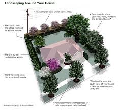 Texas Tree Selector Easy Garden Ideas Landscaping Small Backyard Gardens Backyard Garden Layout