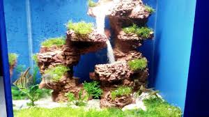 Pin On Aquarium