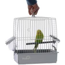 Bird And Pet Clinic Of Roseville Reviews Liberta Nice Small Bird Travel Cage Ideal For Trips To The Vets To And From Shows Or Just Simple So Your Bird Can Parrot Cage Bird Travel Cage Bird Carrier