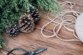 Stew Leonards Christmas Trees 2021 Tips For The Perfect Christmas Tree From Stew Leonard S New Canaan Darien Moms