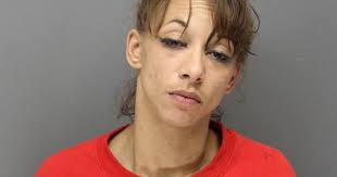 Orofino Domestic Dispute Leads to Felony Controlled Substance Charge