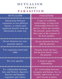 We did not find results for: Unterschied Zwischen Mutualismus Und Parasitismus Wissenschaft Der Unterschied Zwischen Ahnlichen Objekten Und Begriffen