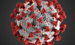 You must remain under the care of a doctor while receiving since remdesivir is given by a healthcare professional in a medical setting, you will be treated quickly if an overdose occurs. Study To Determine Cyclosporine S Role In Treating Hospitalized Covid 19 Patients Bcm