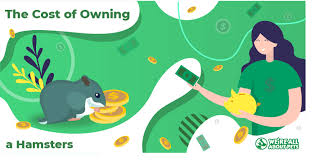 We did not find results for: The Cost Of Owning A Hamster We Re All About Pets