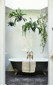 30 Perfect And Beautiful Hanging Bathroom Plants Decor Ideas Bathroom Plants Decor Bathroom Inspiration Decor Bathroom Plants