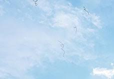 Image result for Floaters