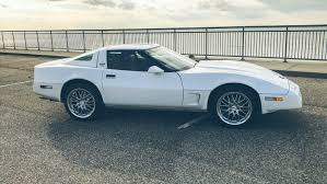 Image result for White 1981 Fleet