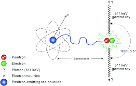 A wide range of beta emitting nuclides are offered for counting and educational uses. Microfluidic Radiobioassays A Radiometric Detection Tool For Understanding Cellular Physiology And Pharmacokinetics Lab On A Chip Rsc Publishing