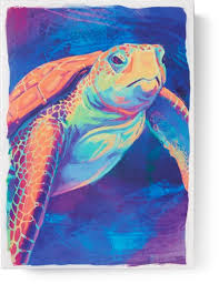 At the best online prices at ebay! Lantern Press Sea Turtles Mosaic Puzzle 1 000 Piece Rei Co Op