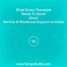 I write emotional support animal letters somewhat frequently. What Every Therapist Needs To Know About Service And Emotional Support Animals