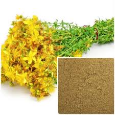 St John's Wort Extract Powder, Packaging Type: Drum at ₹ 2100/kg in Pune