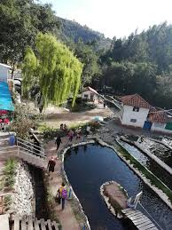 images?q=tbn:ANd9GcTUXHFtjdpy2L0SdX9MdwG1nNSrIOSSjUknafgR0ACiov66JPcl&s