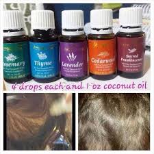 11 hair serums that really work, according to our beauty scientists. Pin By Bev On Young Living Oils Essential Oils For Hair Essential Oils Health Essential Oils