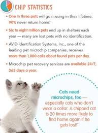 The aaha universal pet microchip lookup tool will not return pet owner information contained in the registries' databases since it is only a lookup tool. Pet Insurance Plans Pet Health Insurance From Petplan Pet Health Insurance Losing A Pet Pet Clinic