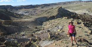 How To Become A Palaeontologist | Natural History Museum