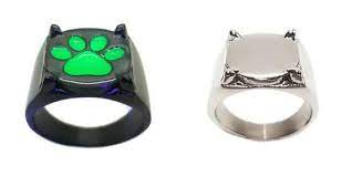 We Have Had Customers Wear These Ring Daily For Years And They Barely Have More Than A Few Scratches These Are Handmade B Chat Noir Ring Chat Noir Rings Daily