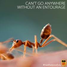 Charlotte nc exterminator, pest control & termite inspector. Truly Nolen Pest Termite Control Trulynolencarolina Profile Pinterest
