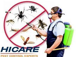 The rebound in recent years was probably due to multiple factors, including less potent insecticides, global travel. The Advanced Bed Bugs Management Service In Sai Baba Colony Coimbatore Hicare Services Private Limited Id 17155676612