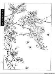工笔画白描 春夏 一 水韵清香 水韵清香 flower drawing sketch painting chinese painting