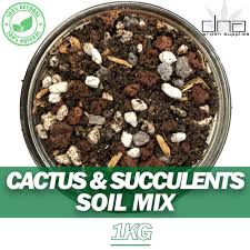 In my 3rd world country i can´t find but i find the most important thing for desert cacti is plenty of sun. Premium Quality Cactus Succulent Soil Mix 1kg Made By Dna Supplies Best Use Soil Mix Lazada Ph