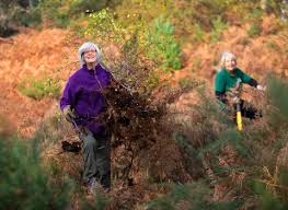Adfer Glaswelltiroedd Calchfaen