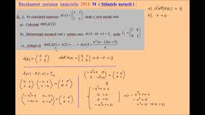 Testul de antrenament 10 matematica bacalaureat 2021 stiinte. Bacalaureat 2014 M2 Stiinte Subiectul Ii Ex1 Youtube
