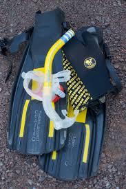 Finden sie scuba diving gear auf gigagünstig, die website, um preise zu vergleichen! Snorkeling Simple English Wikipedia The Free Encyclopedia