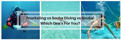 Snorkeling Vs Scuba Diving Vs Snuba Differences With Pros Cons The Elite Product
