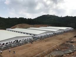 We did not find results for: China Asia Design 50 Year Old Chicken House China Prefabricated Poultry House Poultry House Factory