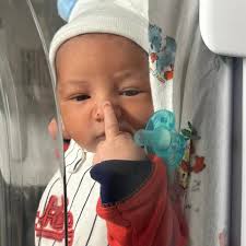 What carpet companies are recommended for re-carpeting rooms?