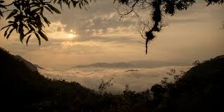 Tripadvisor has 254,371 reviews of guatemala hotels, attractions, and restaurants making it your best guatemala resource. Erderhitzung In Guatemala Wo Der Klimawandel Begonnen Hat Taz De
