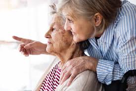 Seniors Helping Seniors®