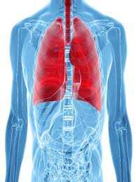 Application of these bundles facilitates the adaptation of guidelines and helps improve the prognosis of target diseases. Tuberculosis Pulmonary Guideline References Mims Malaysia