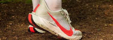 Nike Pegasus Plus