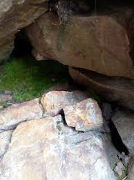 Photos Live Wallpaper Gratouit Photoshop Images Animal Collage Photo Best Pictures Between The Rocks Pic Beautiful Rocks Phone Backgrounds Photoshop Images