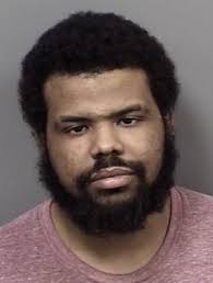 Dunnellon man arrested after crash ends alleged getaway