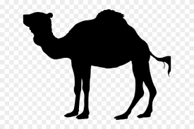Download 229 camel cliparts for free. Camels Clipart Three Kings Kids Wall Stickers Animal Silhouettes Free Transparent Png Clipart Images Download