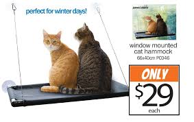 Sneaking over, she grabbed kitty by the arms and oh, just making a new hammock to replace the one you damaged! nala smiled, stretching kitty. Cheap As Chips Is Selling A Window Hammock For Cats We Re Sold Hit Network